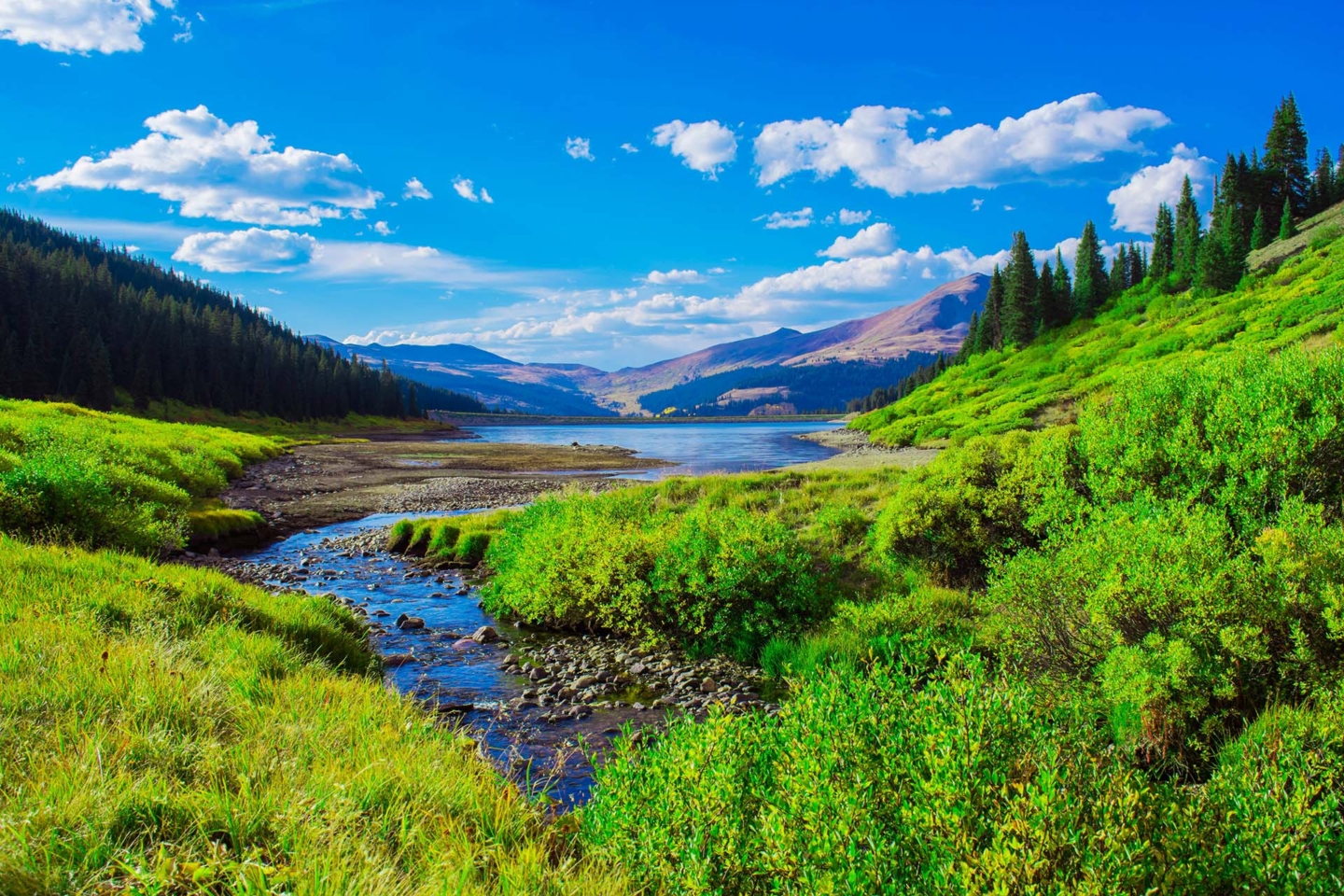 Breckenridge valley in the summertime